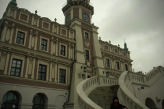 4341_gamma_debica_pl