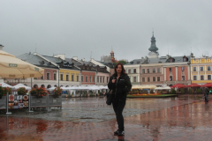 4342_gamma_debica_pl