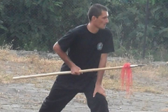 31