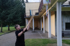 43